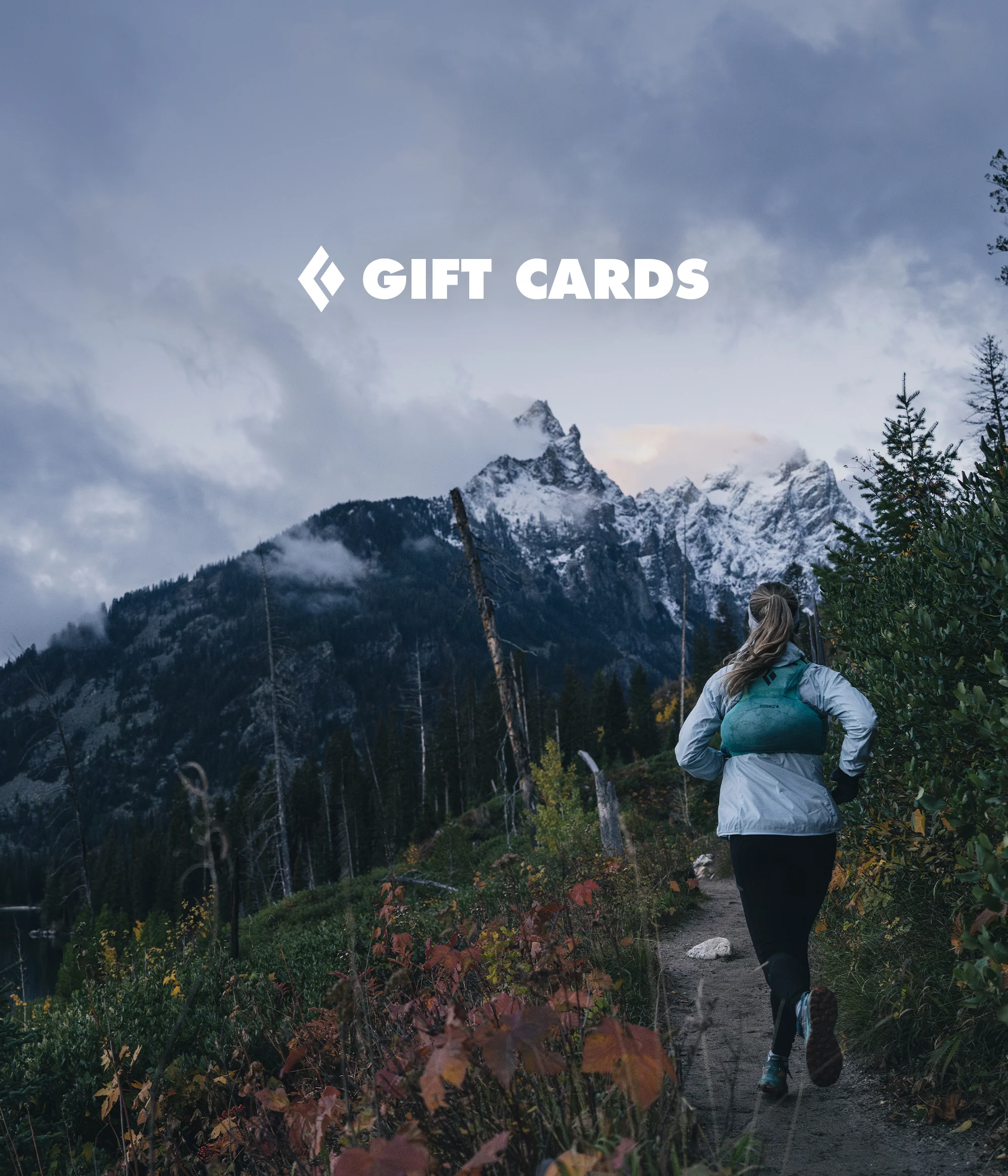 4352-egift-cards-11.webp eGIFT CARDS